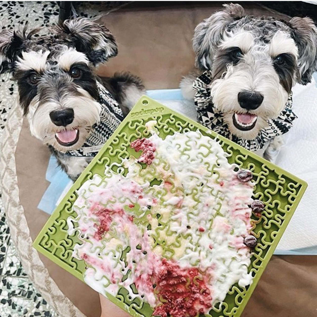 Jigsaw Puzzle eMat - Enrichment Lick Mat for Dogs and Cats | eMat Enrichment Toy for Anxiety Relief | USA Made EMAT SodaPup/True Dogs, LLC