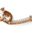 Cat Bridge for Wall Cat Bridge Catastrophic Creations