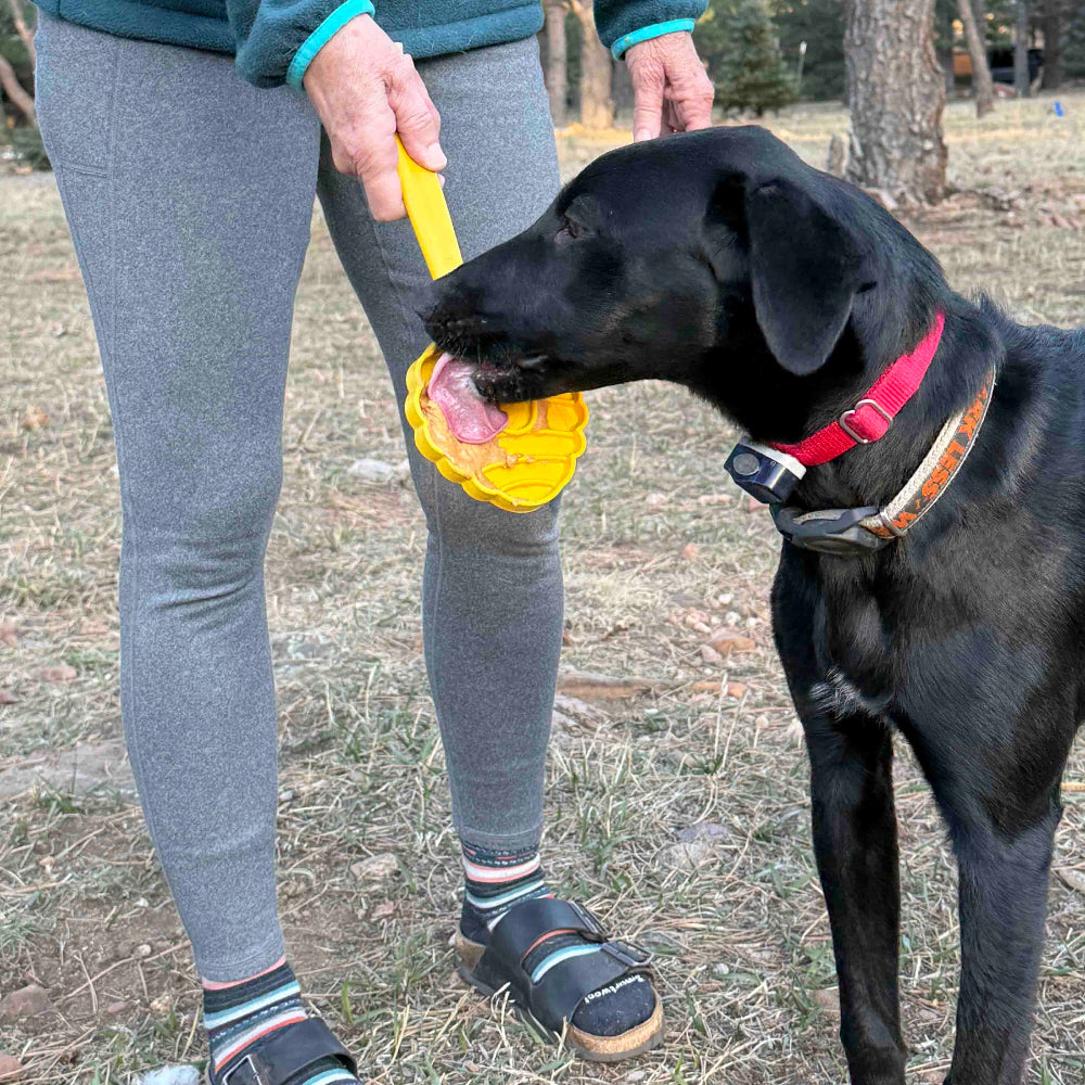 eStick Hand-Held Dog Enrichment Toy - Interactive Lick Stick | USA Made EMAT SodaPup/True Dogs, LLC