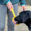eStick Hand-Held Dog Enrichment Target Training Toy - Interactive Lick Stick | USA Made EMAT SodaPup/True Dogs, LLC