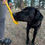 eStick Hand-Held Dog Enrichment Toy - Interactive Lick Stick | USA Made EMAT SodaPup/True Dogs, LLC