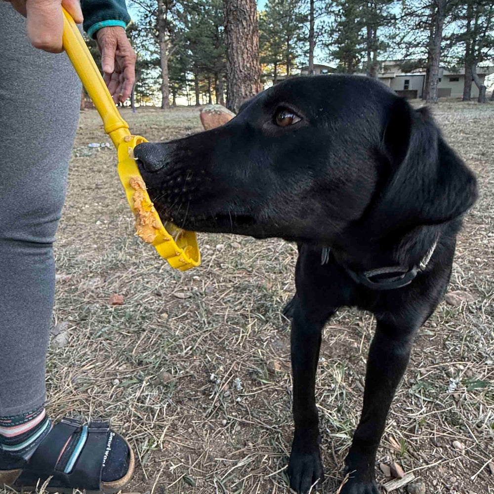eStick Hand-Held Dog Enrichment Toy - Interactive Lick Stick | USA Made EMAT SodaPup/True Dogs, LLC