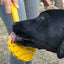 eStick Hand-Held Dog Enrichment Target Training Toy - Interactive Lick Stick | USA Made EMAT SodaPup/True Dogs, LLC
