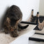 The Canyon - Our Best Cat Tree for Multiple Cats Cat Condo Catastrophic Creations