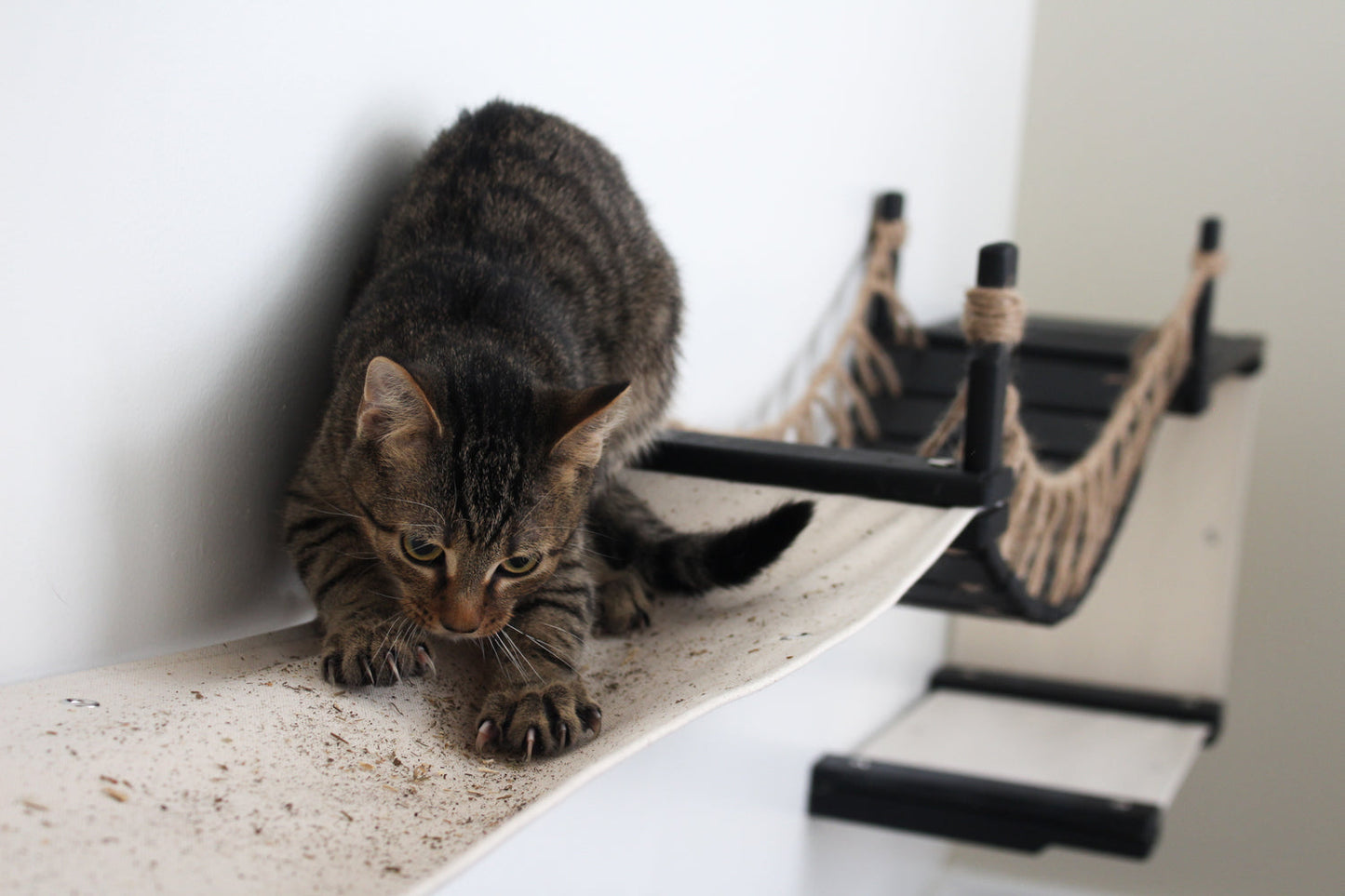 The Canyon - Our Best Cat Tree for Multiple Cats Cat Condo Catastrophic Creations