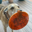 Camp eMat - Enrichment Lick Mat For Dogs and Cats - with Suction Cups | Retro Van Design | USA Made EMAT SodaPup/True Dogs, LLC