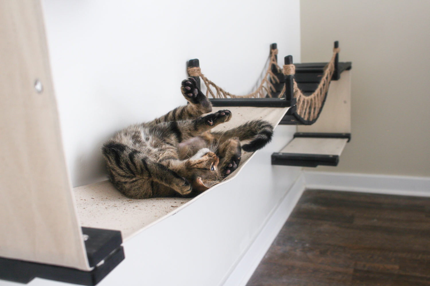 The Canyon - Our Best Cat Tree for Multiple Cats Cat Condo Catastrophic Creations