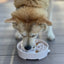 Java eBowl Deep Slow Feeder Dog Bowl for Enrichment | USA Made