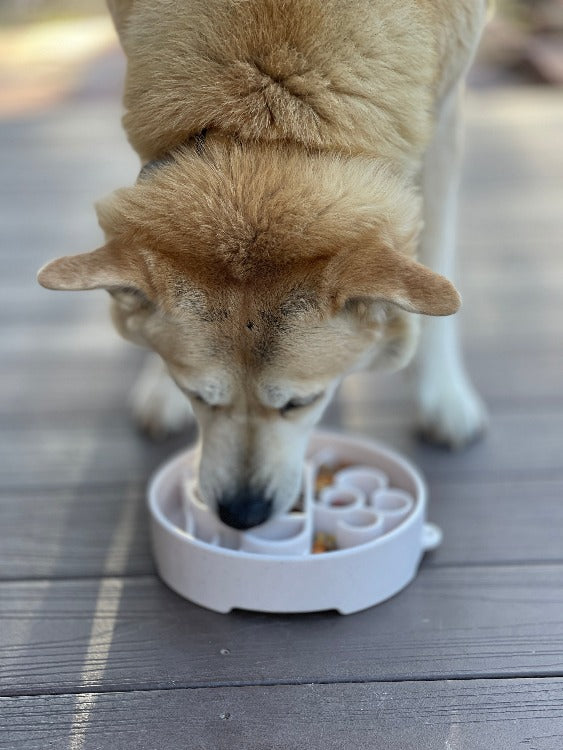 Java eBowl Deep Slow Feeder Dog Bowl for Enrichment | USA Made EBOWL SodaPup/True Dogs, LLC
