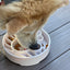 Java eBowl Deep Slow Feeder Dog Bowl for Enrichment | USA Made EBOWL SodaPup/True Dogs, LLC