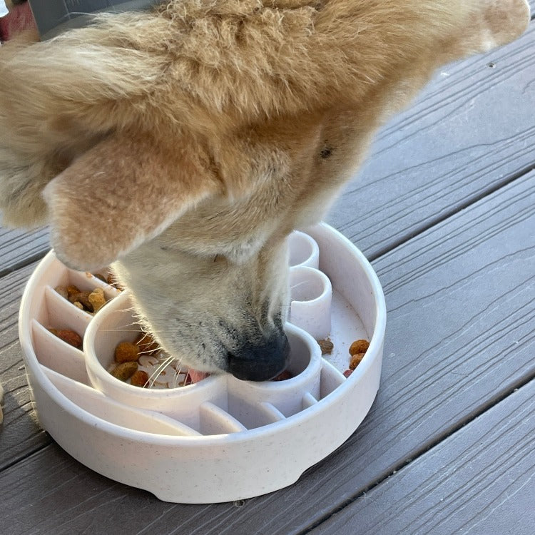 Java eBowl Deep Slow Feeder Dog Bowl for Enrichment | USA Made EBOWL SodaPup/True Dogs, LLC