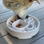 Java eBowl Deep Slow Feeder Dog Bowl for Enrichment | USA Made