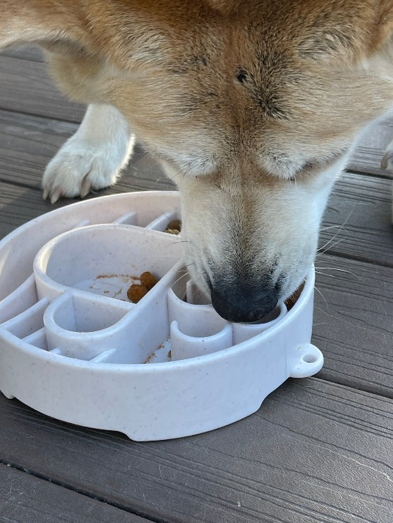 Java eBowl Deep Slow Feeder Dog Bowl for Enrichment | USA Made EBOWL SodaPup/True Dogs, LLC