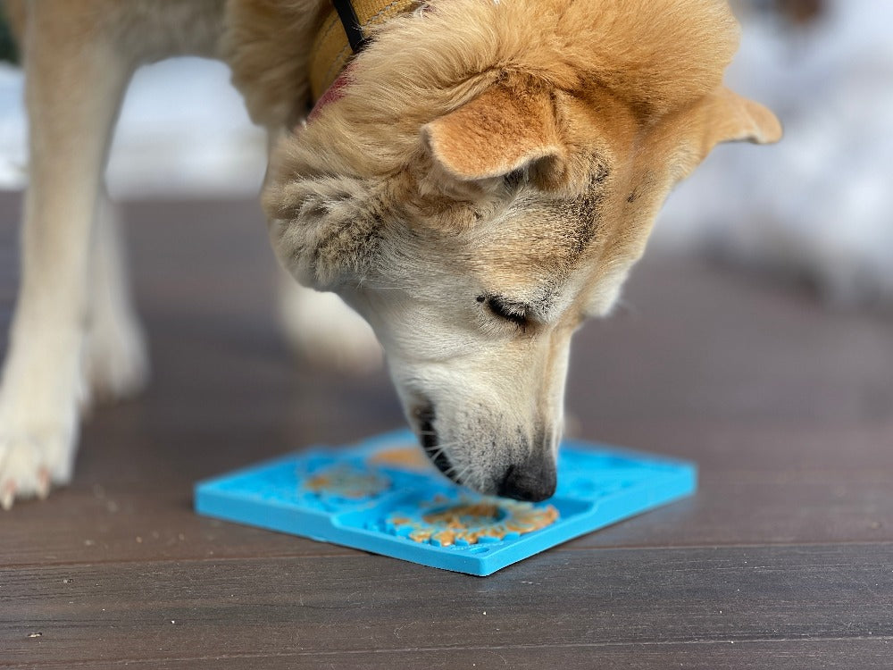 Sky eMat - Enrichment Lick Mat for Dogs and Cats | Celestial Design | SodaPup EMAT SodaPup/True Dogs, LLC