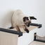 The Canyon - Our Best Cat Tree for Multiple Cats Cat Condo Catastrophic Creations