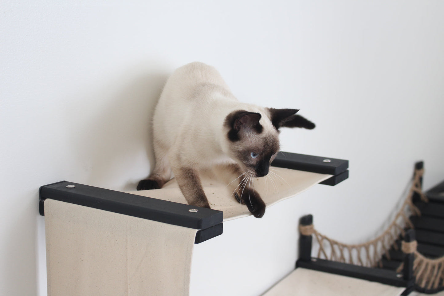 The Canyon - Our Best Cat Tree for Multiple Cats Cat Condo Catastrophic Creations