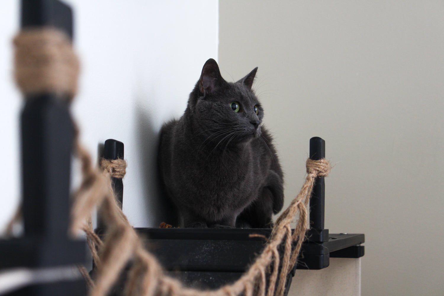The Canyon - Our Best Cat Tree for Multiple Cats Cat Condo Catastrophic Creations