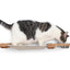 Dog Proof Cat Feeder - Wall-Mounted - Raised Cat Hammock Catastrophic Creations
