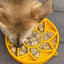 Sunflower eTray Shallow Slow Feeder Dog Bowl for Enrichment | USA Made ETRAY SodaPup/True Dogs, LLC