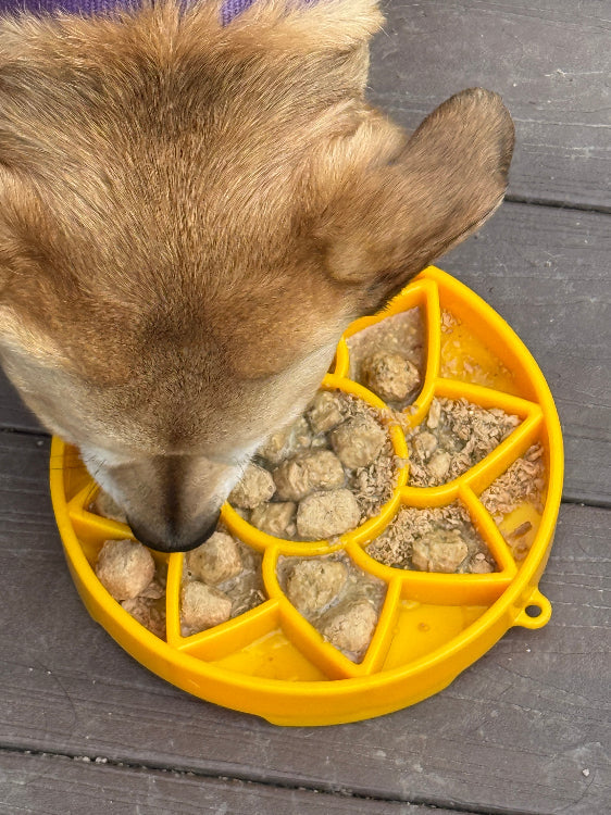 Sunflower eTray Shallow Slow Feeder Dog Bowl for Enrichment | USA Made ETRAY SodaPup/True Dogs, LLC