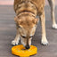 Sunflower eTray Shallow Slow Feeder Dog Bowl for Enrichment | USA Made ETRAY SodaPup/True Dogs, LLC
