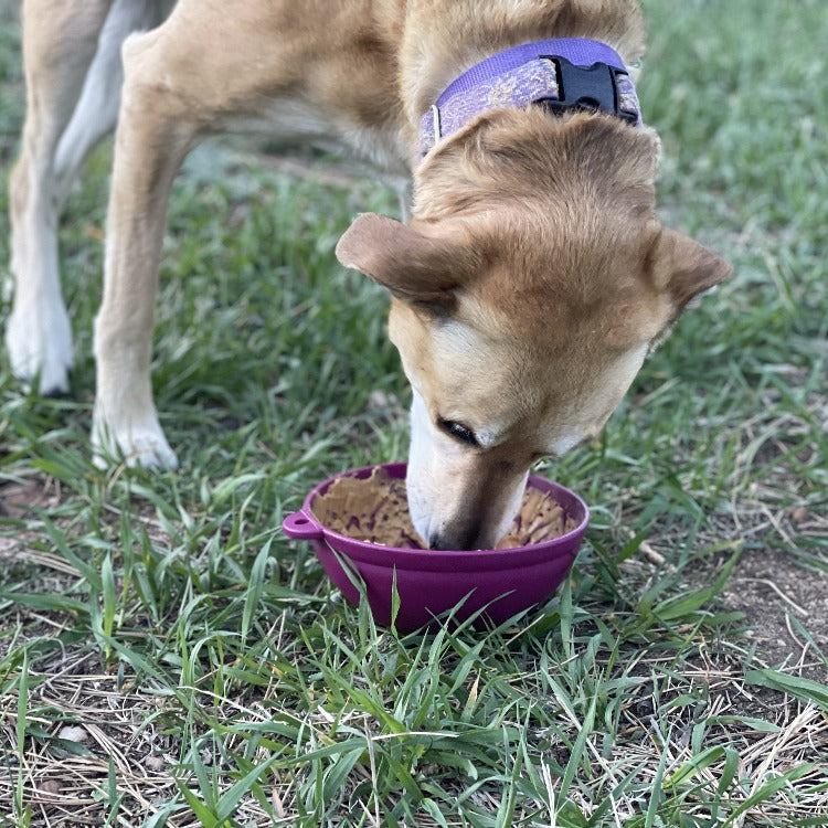 Garden of Eatin' Tipsy Bowl - Wobble Lick Mat for Dogs & Cats | USA Made EMAT SodaPup/True Dogs, LLC