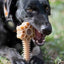 Honey Bone Dental Flower Tower - Indestructible Nylon Dog Chew Toy XL | USA Nylon Dog Toys SodaPup/True Dogs, LLC