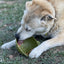 Garden of Eatin' Tipsy Bowl - Wobble Lick Mat for Dogs & Cats | USA Made EMAT SodaPup/True Dogs, LLC