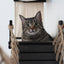 The Canyon - Our Best Cat Tree for Multiple Cats Cat Condo Catastrophic Creations