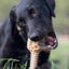 Honey Bone Dental Flower Tower - Indestructible Nylon Dog Chew Toy XL | USA Nylon Dog Toys SodaPup/True Dogs, LLC