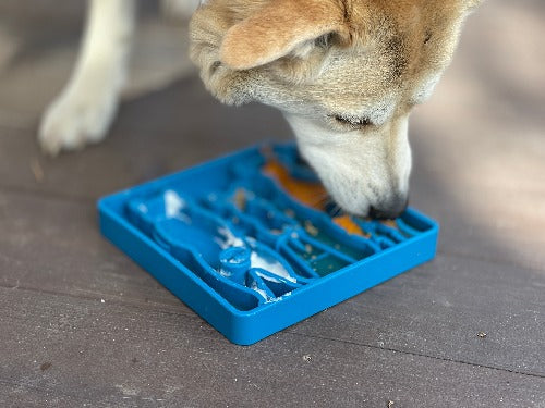 Waiting Dogs eTray - Shallow Slow Feeder Bowl for Enrichment | USA Made ETRAY SodaPup/True Dogs, LLC