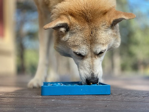 Waiting Dogs eTray - Shallow Slow Feeder Bowl for Enrichment | USA Made ETRAY SodaPup/True Dogs, LLC