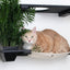 The Gardens - Modern Cat Tree with Plants Cat Condo Catastrophic Creations