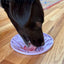 Tulip Design eMat - Enrichment Lick Mat For Dogs and Cats - With Suction Cups | USA Made EMAT SodaPup/True Dogs, LLC