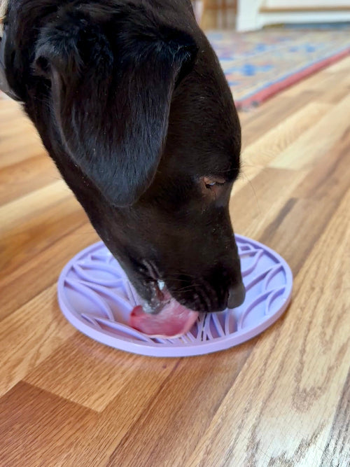 Tulip Design eMat - Enrichment Lick Mat For Dogs and Cats - With Suction Cups | USA Made EMAT SodaPup/True Dogs, LLC