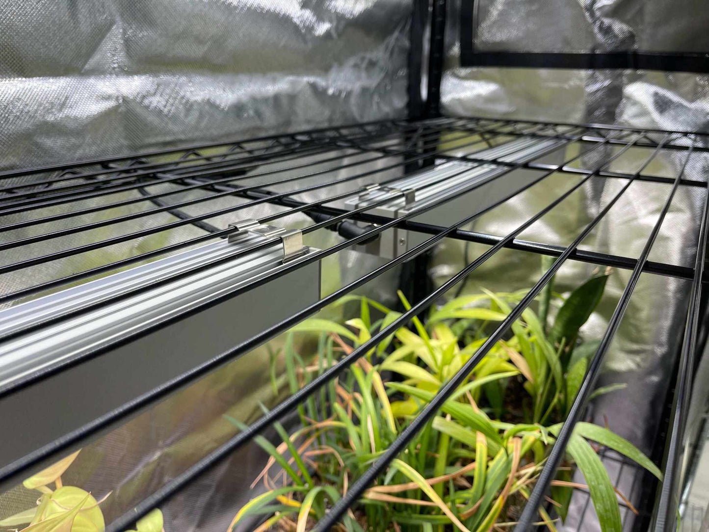 48x18x72 Baker's Rack Grow Tent Cover – Clear Front Door, Adjustable Ventilation & Fully Enclosed Bottom Thrive Ecosystems