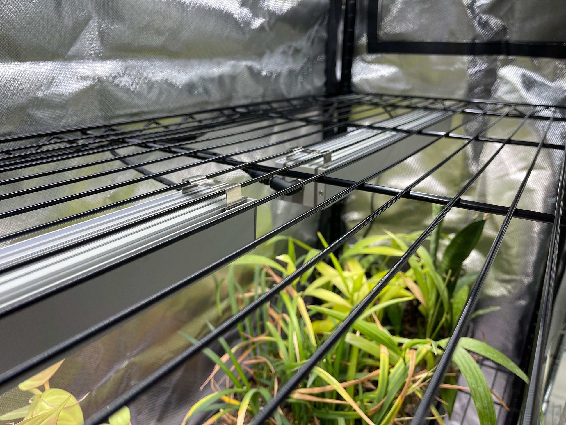 48x18x72 Baker's Rack Grow Tent Cover – Clear Front Door, Adjustable Ventilation & Fully Enclosed Bottom Thrive Ecosystems