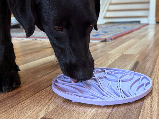 Tulip Design eMat - Enrichment Lick Mat For Dogs and Cats - With Suction Cups | USA Made EMAT SodaPup/True Dogs, LLC
