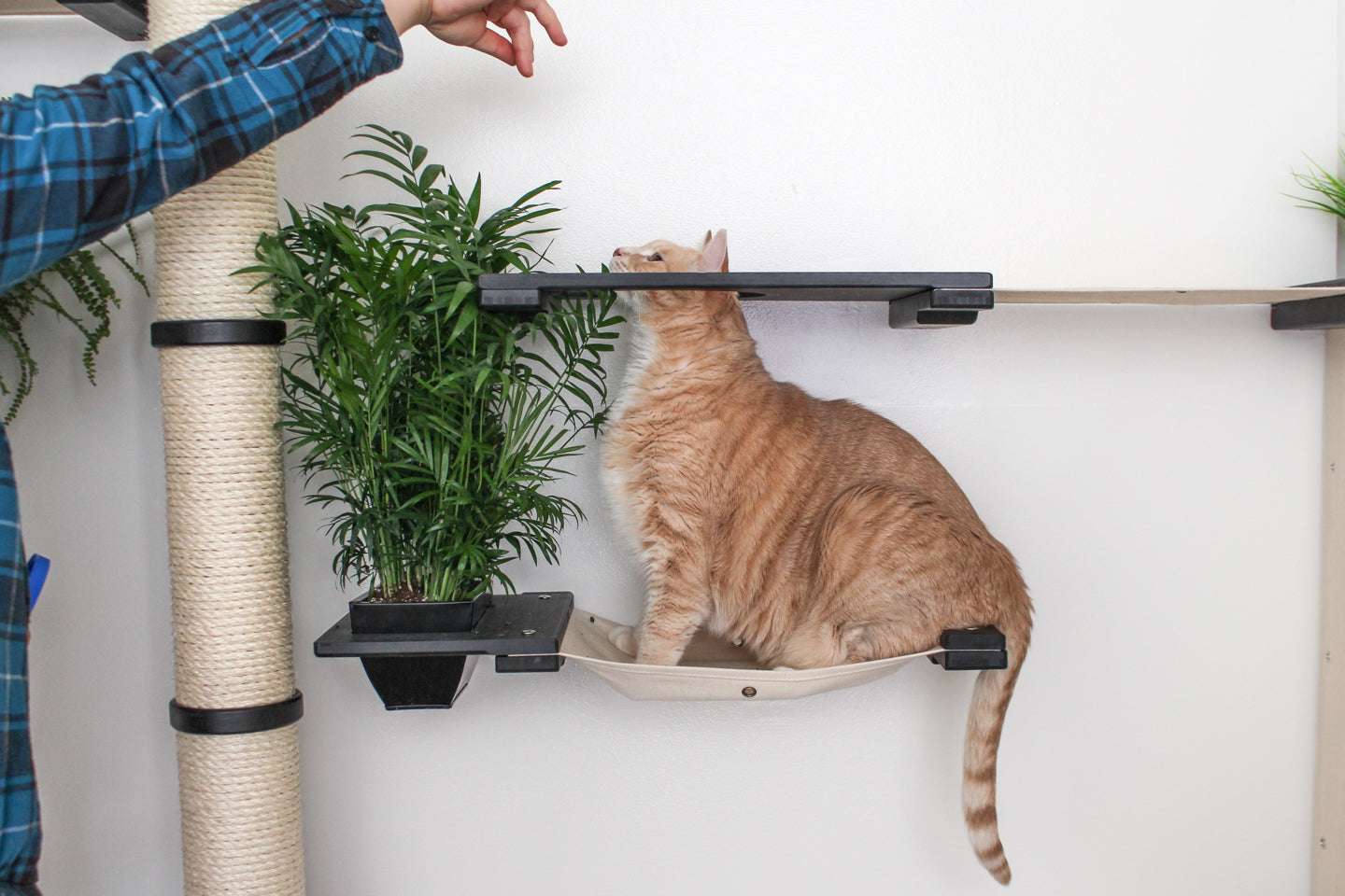 The Gardens - Modern Cat Tree with Plants Cat Condo Catastrophic Creations