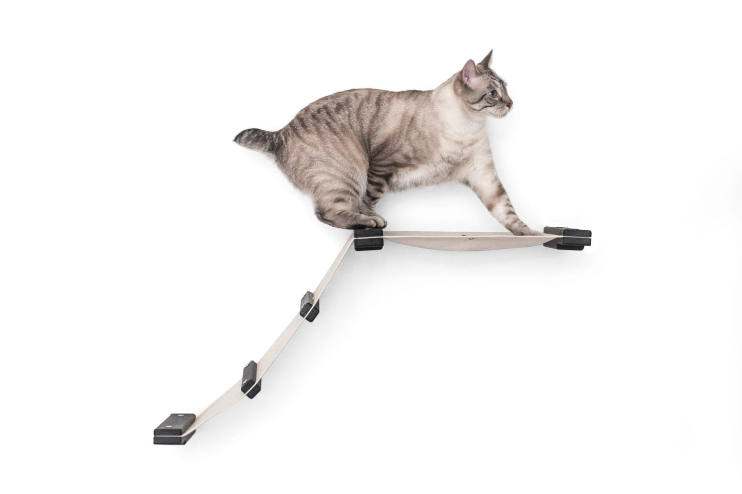 The Lift- Cat Hammock Bed Cat Hammock Catastrophic Creations
