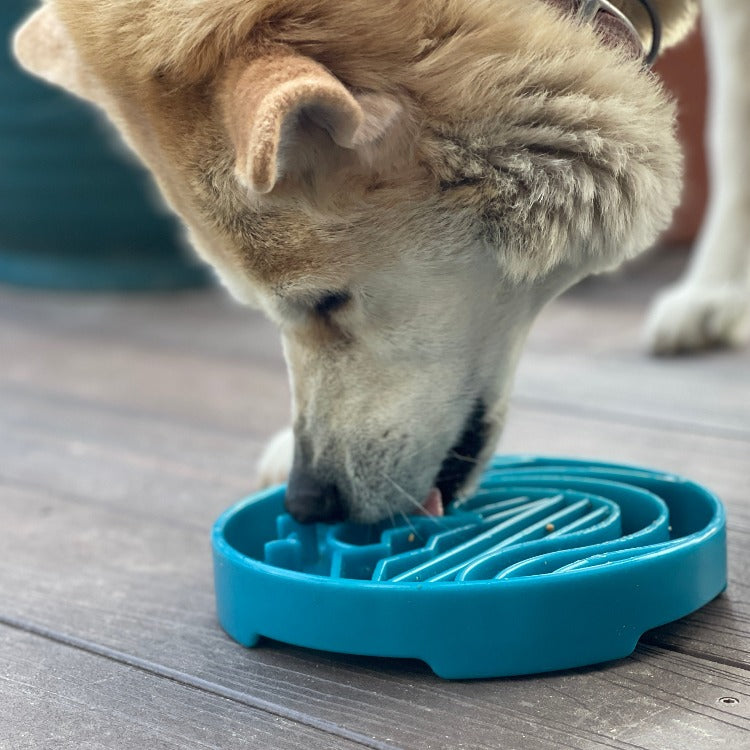 Baja Design eTray - Shallow Slow Feeder Dog Bowl for Enrichment | USA Made ETRAY SodaPup/True Dogs, LLC