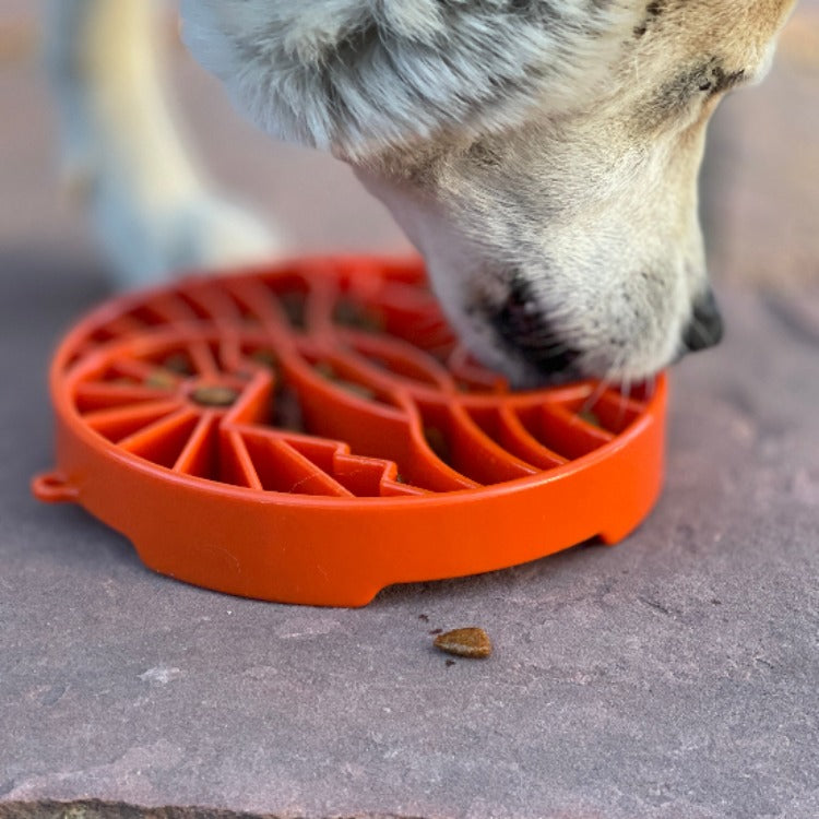 Sun and Moon eTray - Shallow Slow Feeder Dog Bowl for Enrichment | USA Made ETRAY SodaPup/True Dogs, LLC
