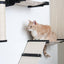 The Gardens - Modern Cat Tree with Plants Cat Condo Catastrophic Creations