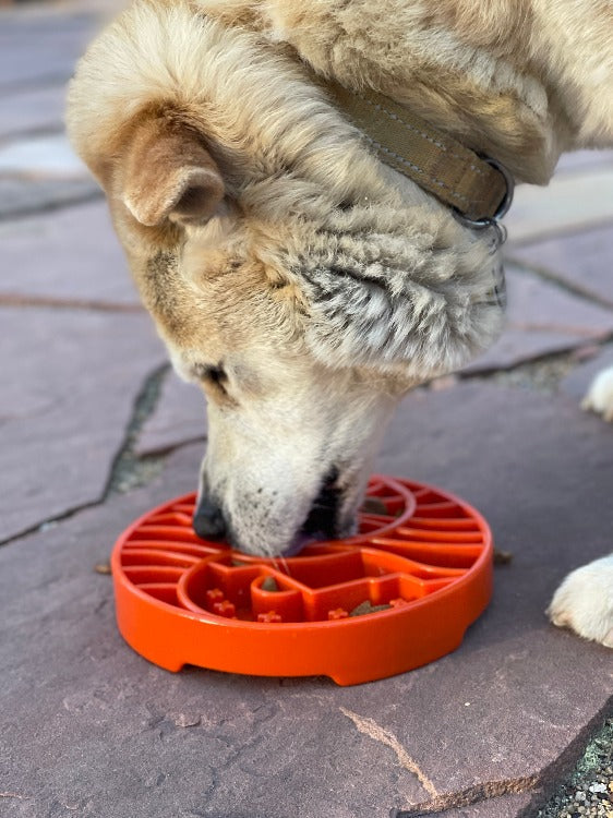 Sun and Moon eTray - Shallow Slow Feeder Dog Bowl for Enrichment | USA Made ETRAY SodaPup/True Dogs, LLC