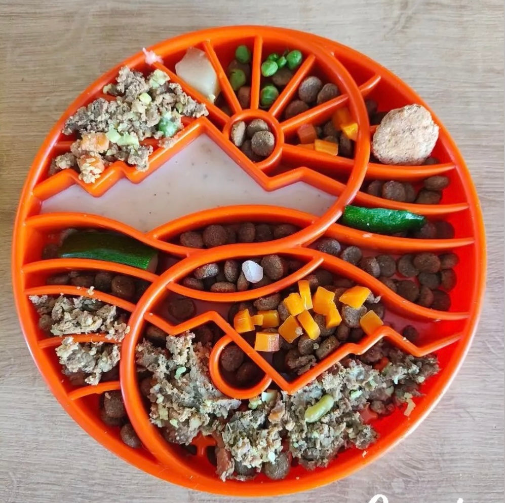 Sun and Moon eTray - Shallow Slow Feeder Dog Bowl for Enrichment | USA Made ETRAY SodaPup/True Dogs, LLC