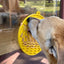 Sun n' Sea eMat - Enrichment Lick Mat For Dogs and Cats - With Suction Cups - Beach Design | USA Made EMAT SodaPup/True Dogs, LLC