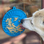Lighthouse eMat - Enrichment Lick Mat For Dogs and Cats - With Suction Cups | USA Made EMAT SodaPup/True Dogs, LLC
