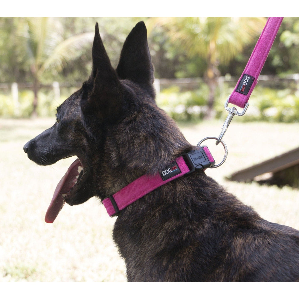 Comfort Microfiber Flat Dog Collar Dog Collars Dogline