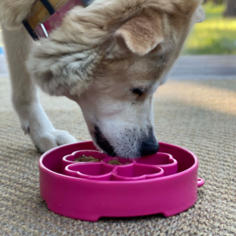 Flower eBowl Deep Slow Feeder Dog Bowl for Enrichment | USA Made EBOWL SodaPup/True Dogs, LLC