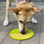 Tree of Life eMat - Enrichment Lick Mat For Dogs and Cats - With Suction Cups | Tree Design | USA Made EMAT SodaPup/True Dogs, LLC